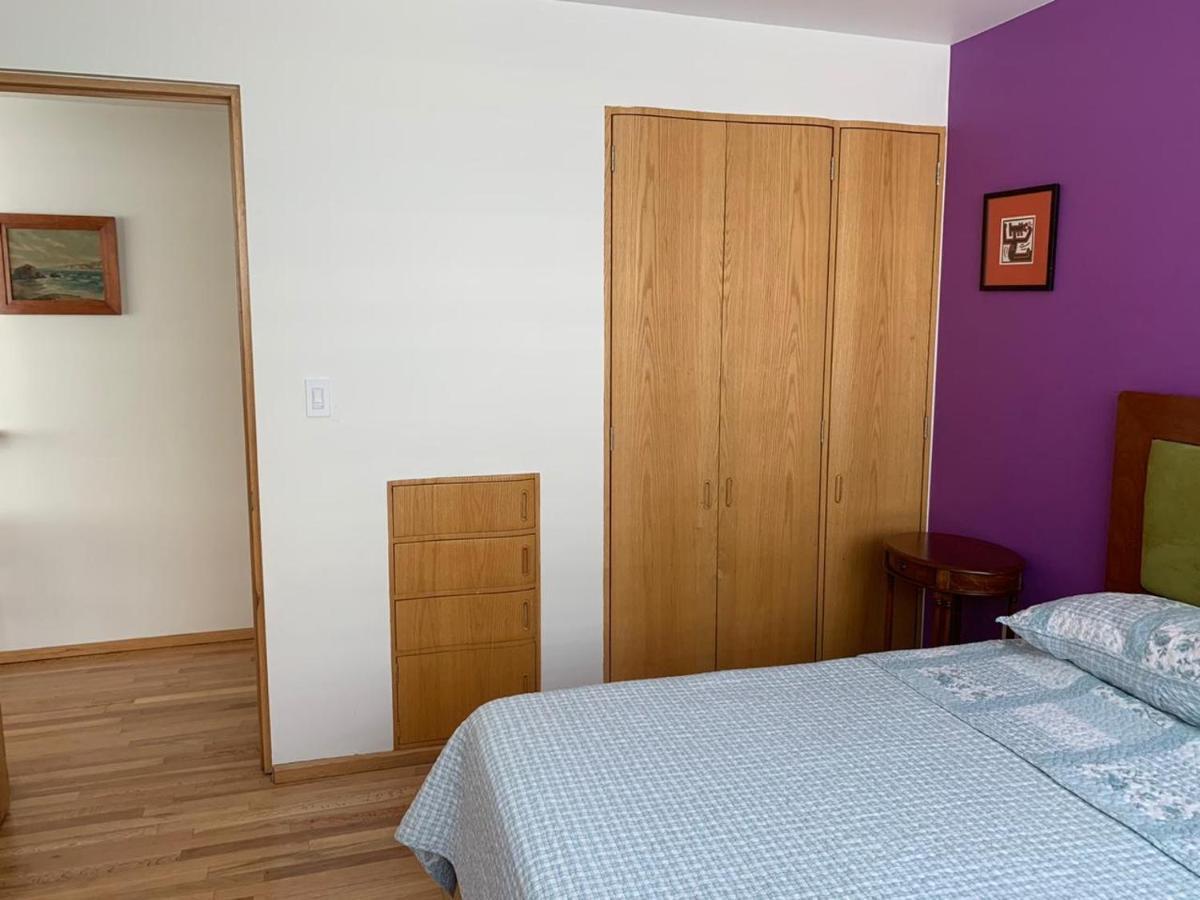 Departamentos Panuco Apartment Мексико Сити Екстериор снимка